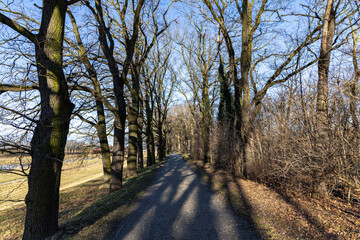 Spring park with cobblestone path by the river and trees without leaves. Spring landscape. Poland