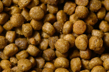 Crunchy pet food pellets scattered on a surface create a vibrant feeding display