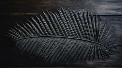 photo palm leaf outline