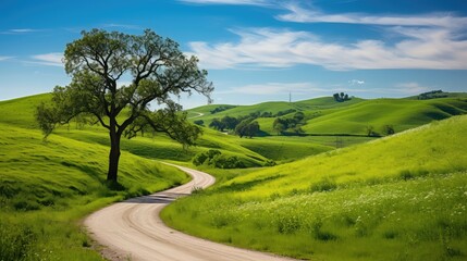 serene roads backcountry
