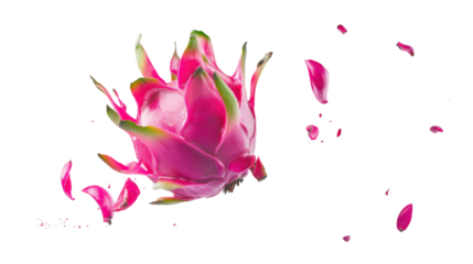 A vivid yellow dragon fruit with a soft pink outer skin, falling gently, isolated on a white background.