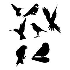 Fototapeta premium Car rent and sale automotive social media banner or birds post template