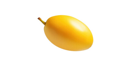golden egg on white background