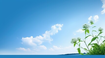 theme powerpoint template blue