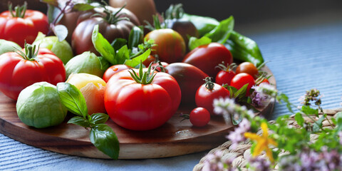 Tomato vegetable  -  a garden harvest of gourmet varieties of heirloom tomatoes, Solanum lycopersicum -  includes black, cherry, plum, oxheart and beefsteak delicious berries.