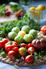 Tomato vegetable  -  a garden harvest of gourmet varieties of heirloom tomatoes, Solanum lycopersicum -  includes black, cherry, plum, oxheart and beefsteak delicious berries.