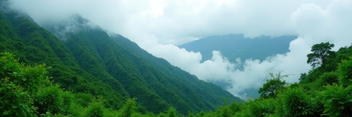 Naklejka premium Misty mountainside blanketed with lush foliage, misty, landscape