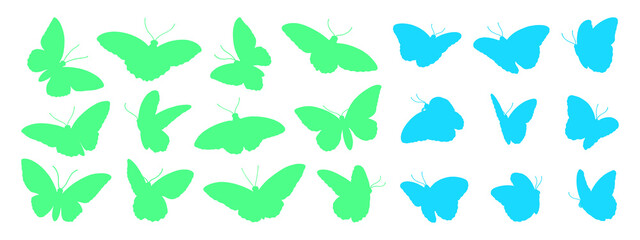 Birdwing and morpho butterflies on transparent background, colorful silhouette illustrations