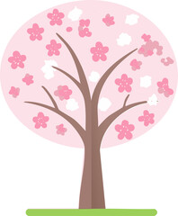 Fototapeta premium cherry blossoms