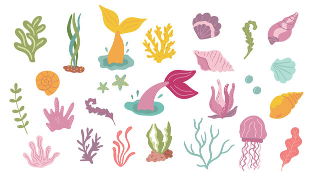 Set of hand drawn seaweeds and seashells. Vector illustration.