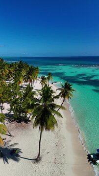 Drone view of Saona Island, turquoise waters, white sand, boats and a pure tropical paradise in the Dominican Republic.