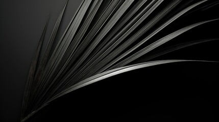 Obraz premium texture black palm leaf