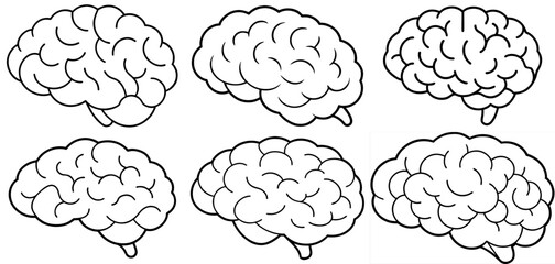 Brain Outline Coloring Page Printable Line Art Drawing
