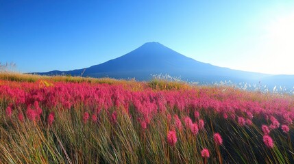 Pink flowers, mountain sunrise, autumn field