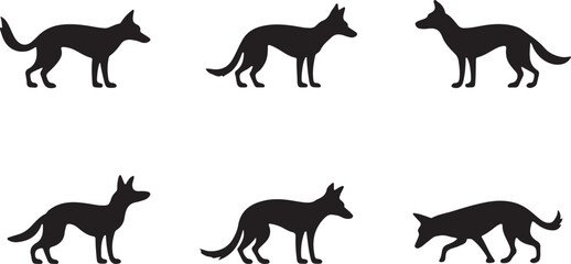 Obraz premium Dingo silhouettes