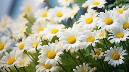 offers black friday shop