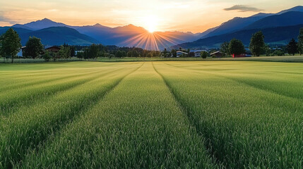 Obraz premium An early morning village, the sun slowly rises from behind the eastern mountains, the golden morning light fills the earth, and the air is filled with the fragrance of grass and wild flowers.