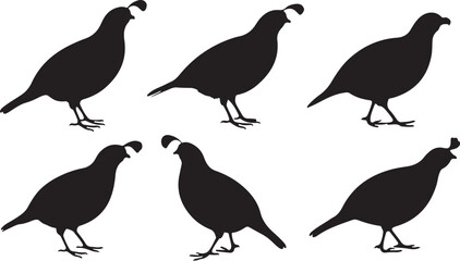 Quail silhouettes