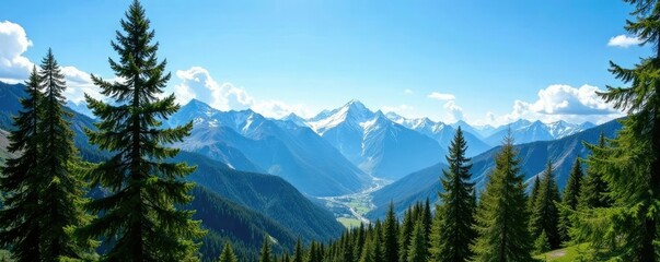 Glistening pine trees under a clear blue sky with distant snow-capped mountains, mountains, evergreen trees, sunny sky