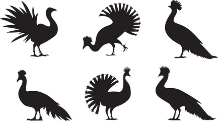 Peafowl silhouettes
