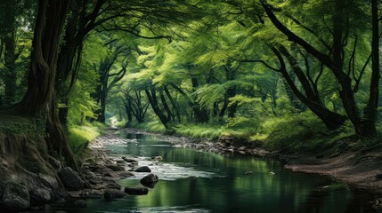 Obraz premium greenery tree by stream