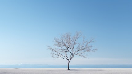 elegance minimal trees