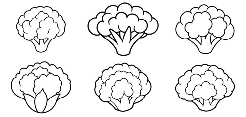 Cauliflower Outline Coloring Page Printable Line Art Drawing