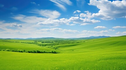 Fototapeta premium landscape green fields