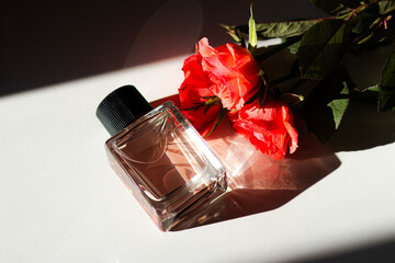 A perfume bottle lies on a white background, surrounded by roses and tulips. Sunlight casts soft, warm highlights, creating a delicate and romantic atmosphere.

