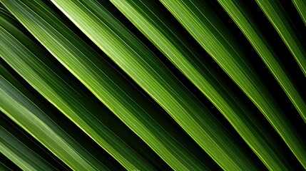 veins palm tree pattern