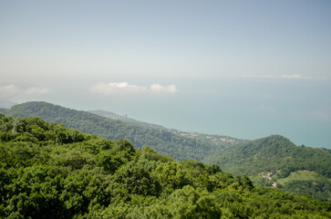 Lush green mountains stretch towards distant blue ocean under clear sky. Thick forest covers slopes, while horizon blurs where sea meets sky. Bright daylight enhances natures vibrant colors