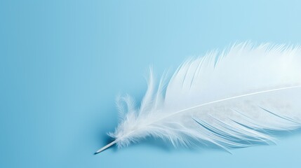 Obraz premium composition powder blue background