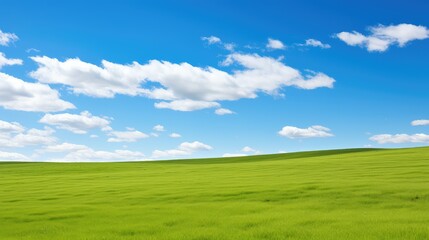 Fototapeta premium landscape green grass blue skies