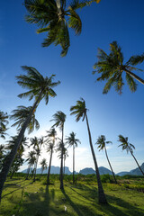 Fototapeta premium View of Sam Roi Yot National Park, Pran Buri District, Prachuap Khiri Khan Province, Thailand