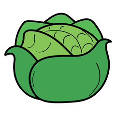 Hand drawn cartoon green cabbage on white background.