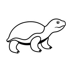 Modern Albino Turtle Line Art Graphic for Projects

