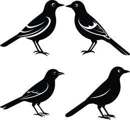 Fototapeta premium Minimalist Oriole Silhouette Vector Icon Set for Clean Designs.