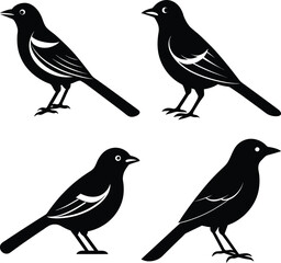 Minimalist Oriole Silhouette Vector Icon Set for Clean Designs.