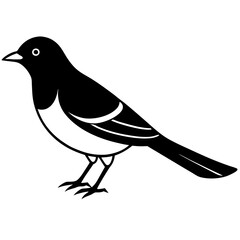 Black Oriole Bird Silhouette Vector Icon – Clear & Detailed.