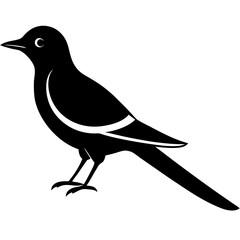 Oriole Silhouette Vector – Ideal for Branding & Nature Art.