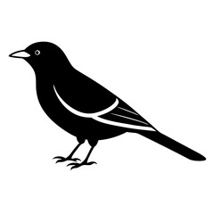 Oriole Silhouette Vector – Ideal for Branding & Nature Art.