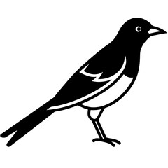 Oriole Silhouette Vector – Ideal for Branding & Nature Art.