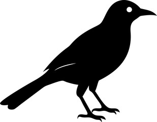 Oriole Silhouette Vector – Ideal for Branding & Nature Art.