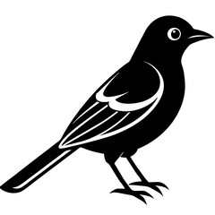 High-Quality Oriole Bird Silhouette Vector – Perfect for Logos.