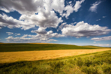 road, landscape, sky, field, nature, country, summer, grass, clouds, rural, countryside, way, travel, horizon, green, asphalt, hill, path, cloud, highway, land, agriculture, mountain, view, dirt