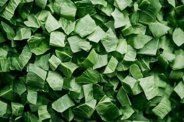 A close-up view of freshly chopped spinach leaves.