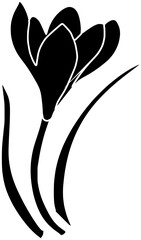 decoration illustration nature silhouette flower logo blossom icon floral outline plant crocus spring design bouquet petal bloom garden flora shape and vector graphic background