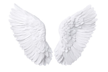 Fototapeta premium Elegant white angel wings, symbolizing purity and freedom., transparent background.