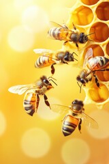 Honey bee hive with patterns.