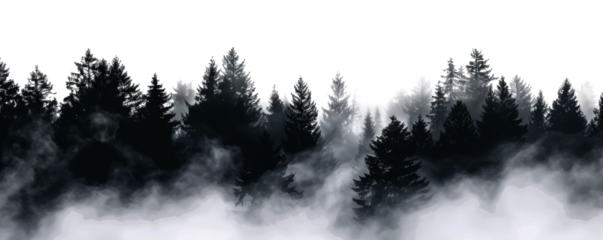black foggy forest isolated on white or transparent png